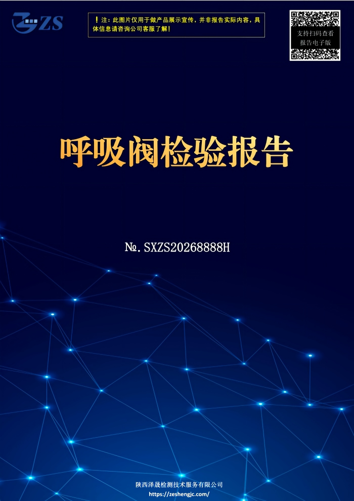 呼吸阀检测报告