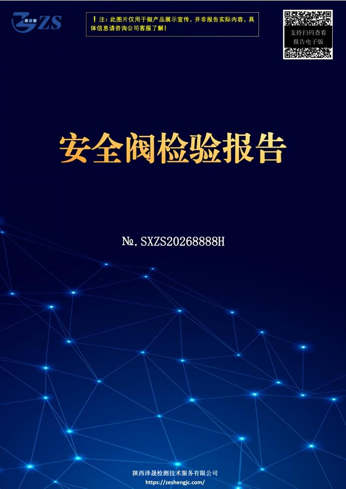 安全阀检验报告