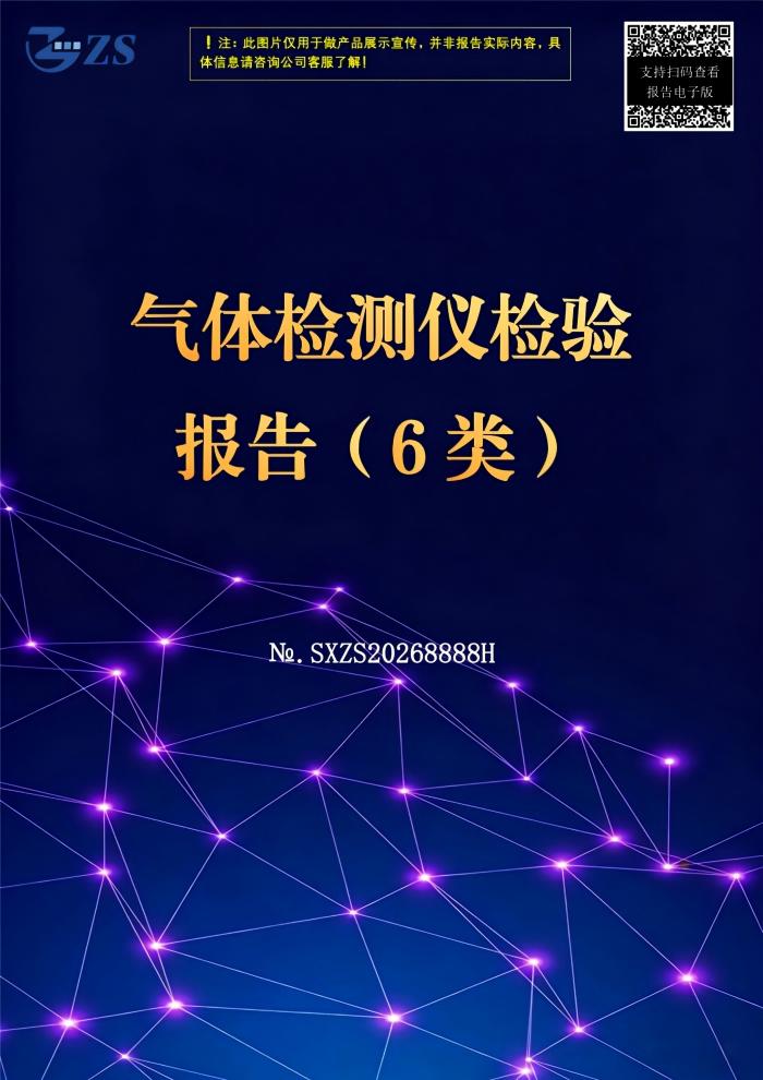 气体检测仪检验报告